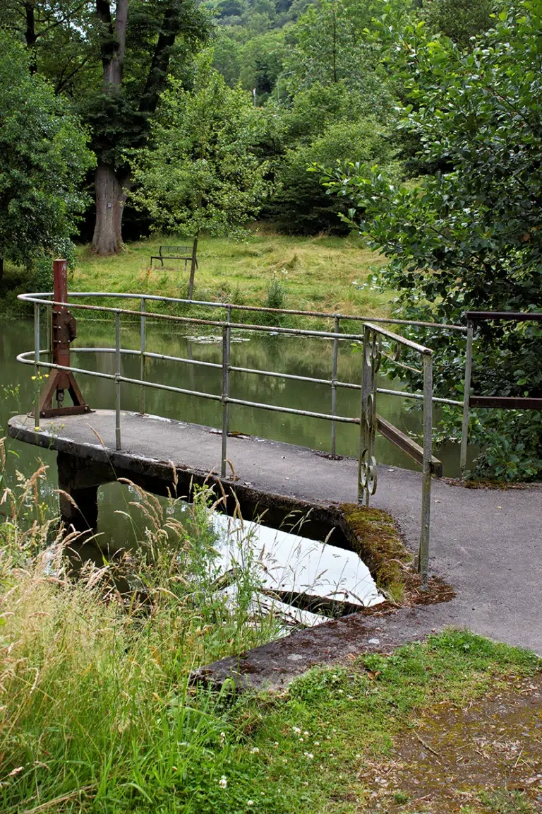 Marienberger Park mit Blick auf dem Teich