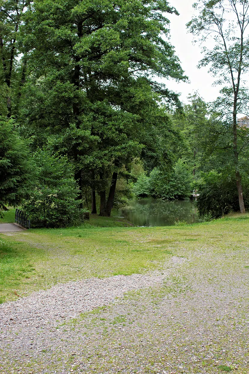 Offene Wiese zum ruhigen Gewässer, dichter Baumbestand und Steg am gegenüberliegenden Ufer