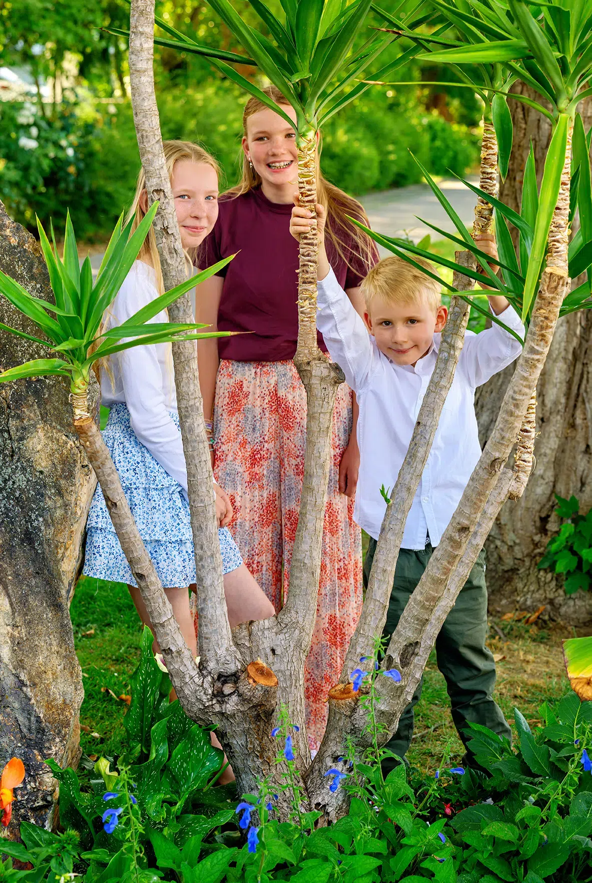 Drei lachende Geschwister, zwei Mädchen und ein Junge, verstecken sich spielerisch hinter einer Yucca-Palme
